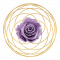 Abbey Rose Logo